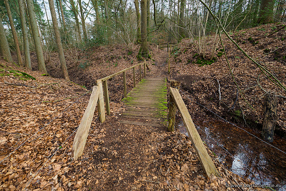 Spijkerspreng 070320-058