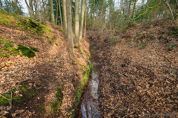 Spijkerspreng 070320-059