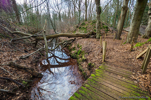 Spijkerspreng 070320-060