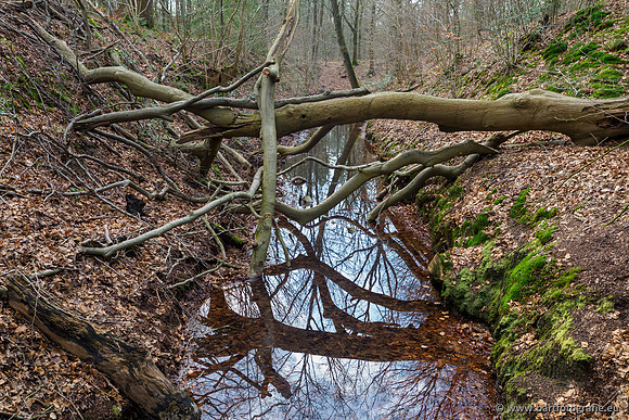 Spijkerspreng 070320-061