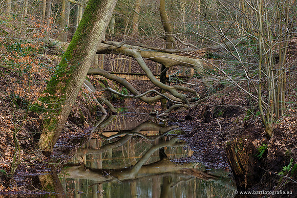 Spijkerspreng 070320-062