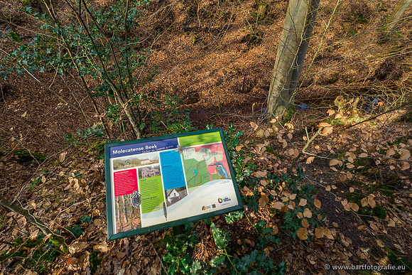 Spijkerspreng 070320-063