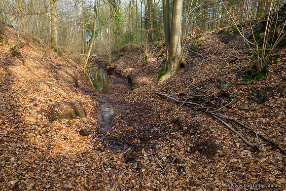 Spijkerspreng 070320-064