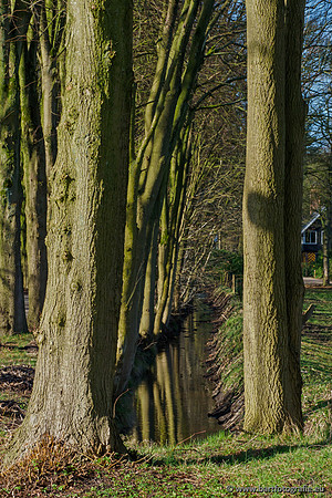 Molecatense beek 070320-004