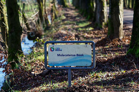 Molecatense beek 070320-005