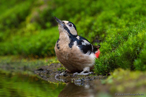 Holenbroeders, Bart Fotografie-474