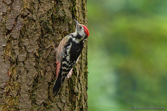 Holenbroeders, Bart Fotografie-477