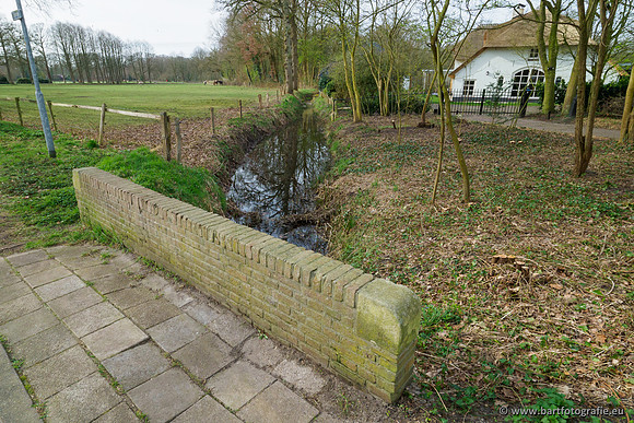 Molecatense beek Benedenloop 170320-004