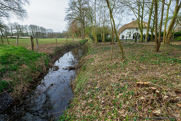 Molecatense beek Benedenloop 170320-003
