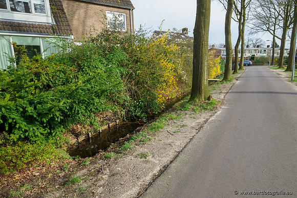 Molecatense beek Benedenloop 170320-005