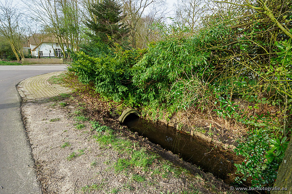 Molecatense beek Benedenloop 170320-006