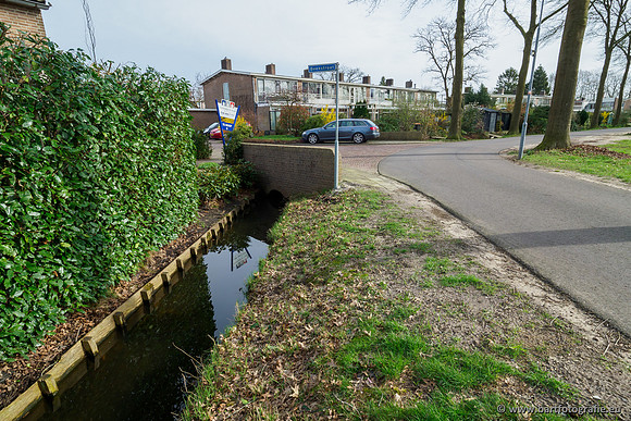 Molecatense beek Benedenloop 170320-007