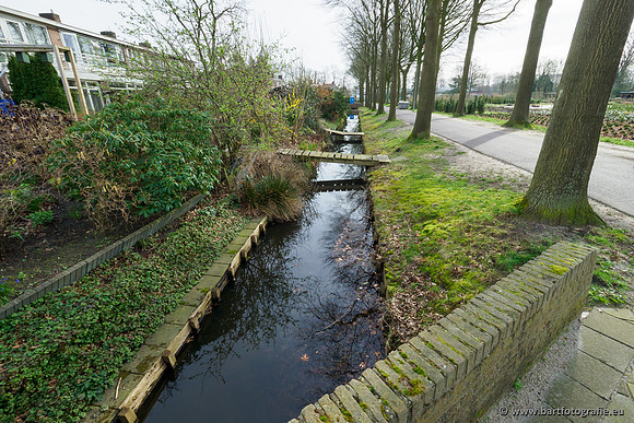 Molecatense beek Benedenloop 170320-009