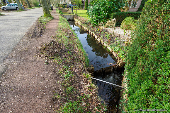 Molecatense beek Benedenloop 170320-017