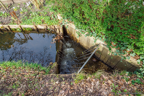 Molecatense beek Benedenloop 170320-018