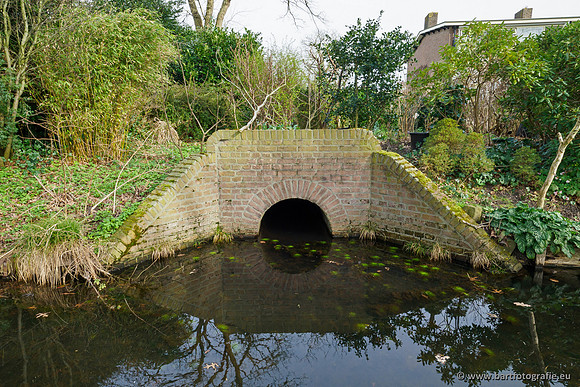 Molecatense beek Benedenloop 170320-012