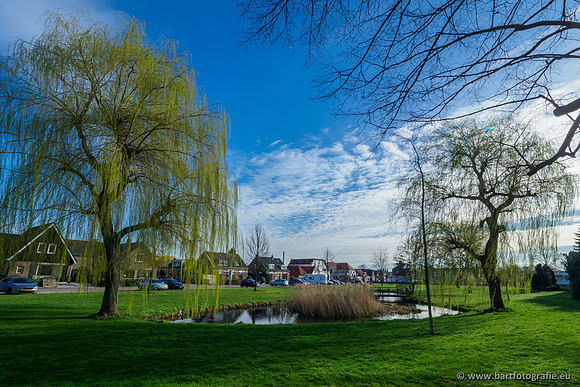 Molecatense beek Benedenloop 170320-020