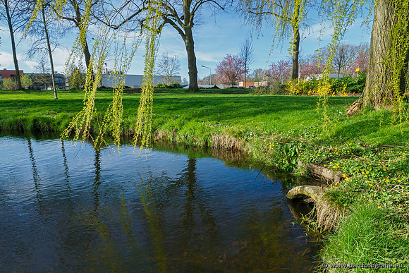 Molecatense beek Benedenloop 170320-024