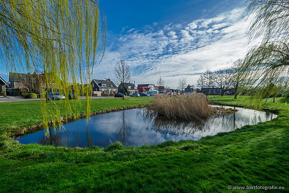 Molecatense beek Benedenloop 170320-021