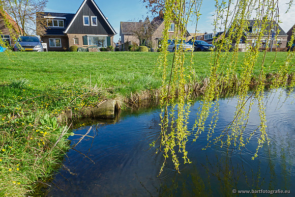 Molecatense beek Benedenloop 170320-022