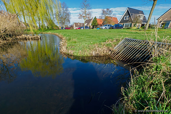 Molecatense beek Benedenloop 170320-025