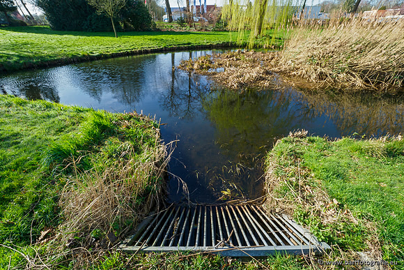 Molecatense beek Benedenloop 170320-026