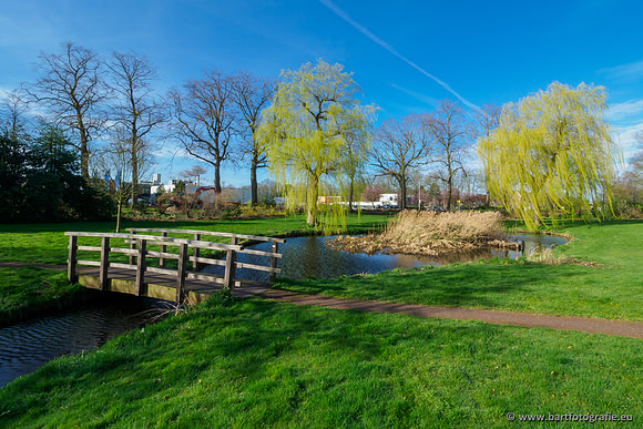 Molecatense beek Benedenloop 170320-027