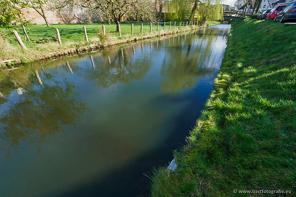 Molecatense beek Benedenloop 170320-032