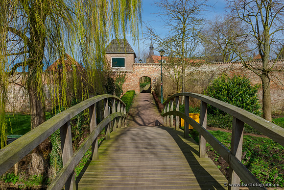 Molecatense beek Benedenloop 170320-035