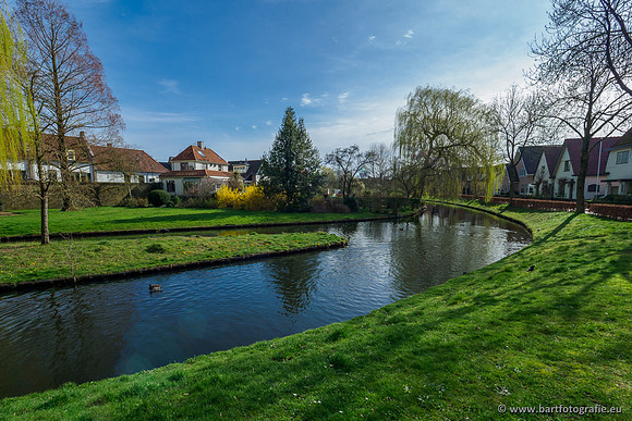 Molecatense beek Benedenloop 170320-049