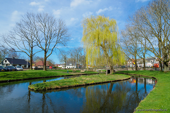 Molecatense beek Benedenloop 170320-053