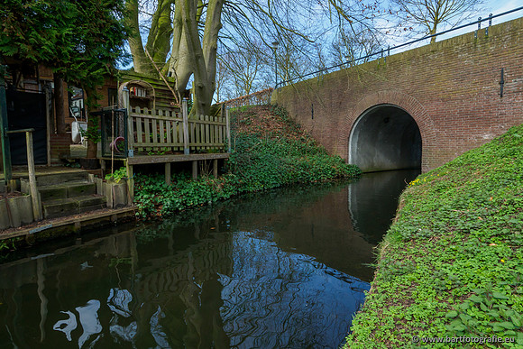 Molecatense beek Benedenloop 170320-066
