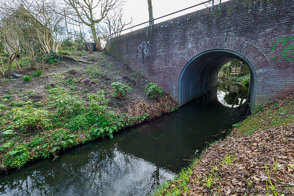 Molecatense beek Benedenloop 170320-069
