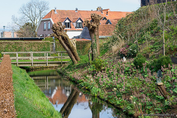 Molecatense beek Benedenloop 170320-072