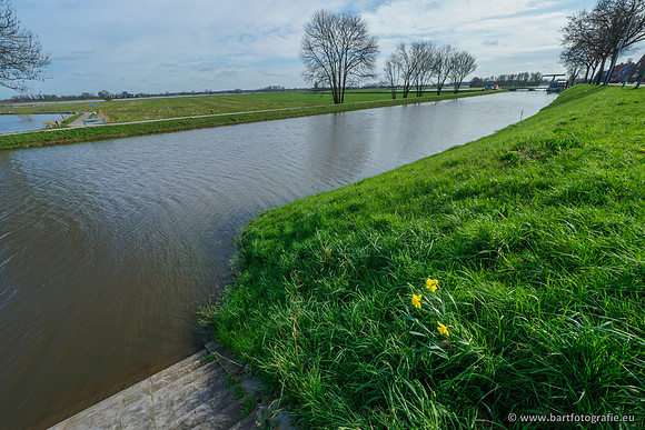 Molecatense beek Benedenloop 170320-092