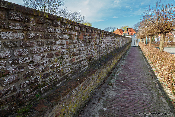 Molecatense beek Benedenloop 170320-122