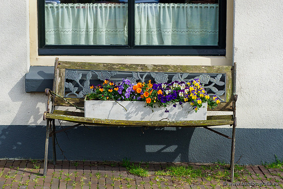 Molecatense beek Benedenloop 170320-125