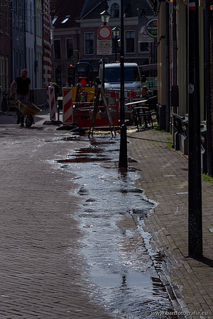 Molecatense beek Benedenloop 170320-126