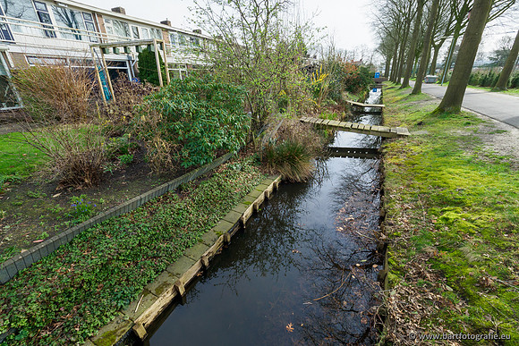 Molecatense beek Benedenloop 170320-010