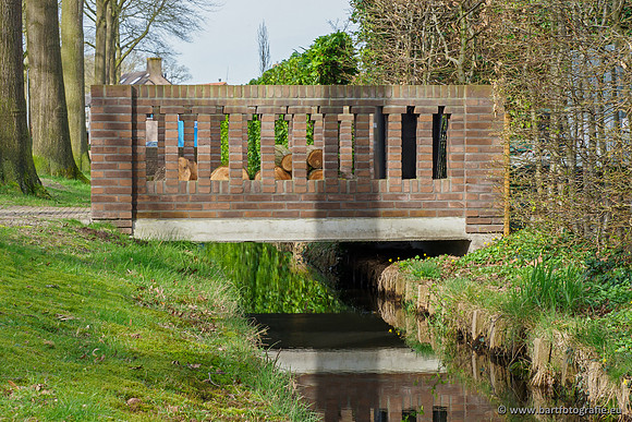 Molecatense beek Benedenloop 170320-014
