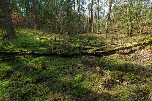 Het Nun 170320-003