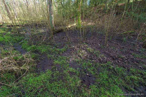 Het Nun 170320-005