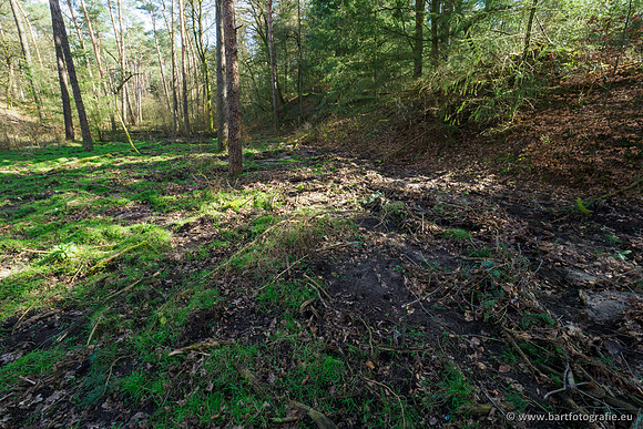 Het Nun 170320-007