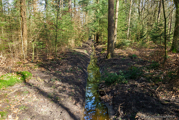 Het Nun 170320-019