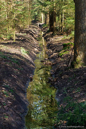 Het Nun 170320-020
