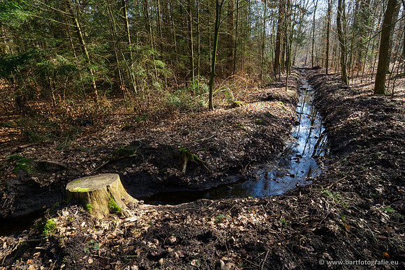 Het Nun 170320-023