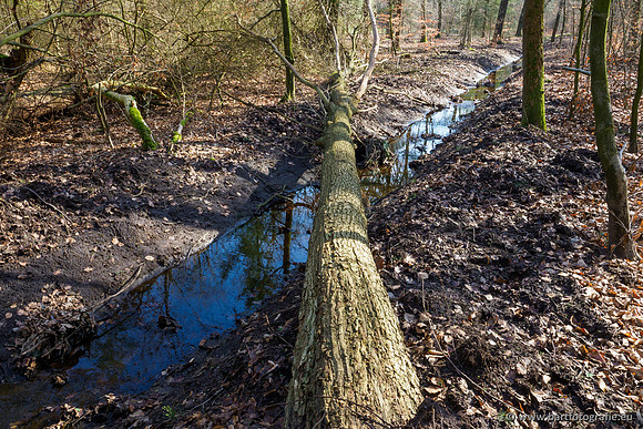 Het Nun 170320-024