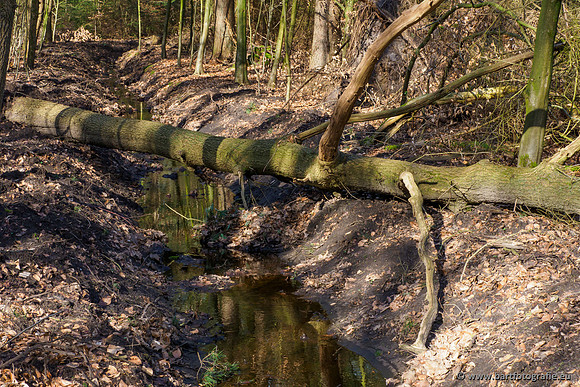 Het Nun 170320-025