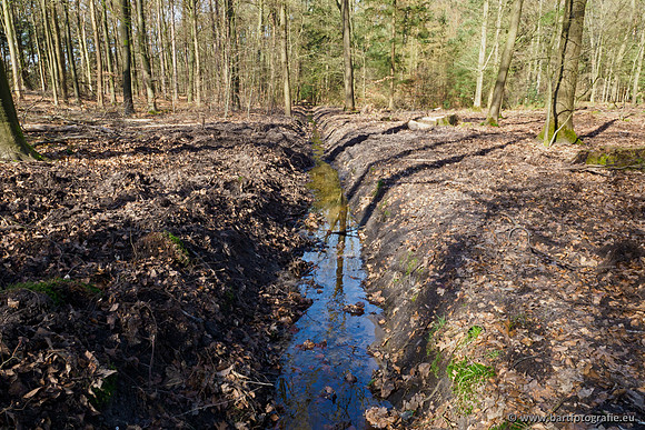 Het Nun 170320-026