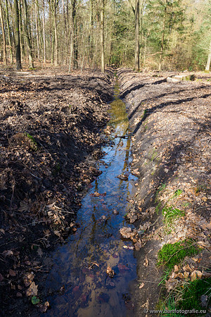 Het Nun 170320-027